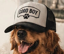 A dog wearing a Good Boy trucker hat